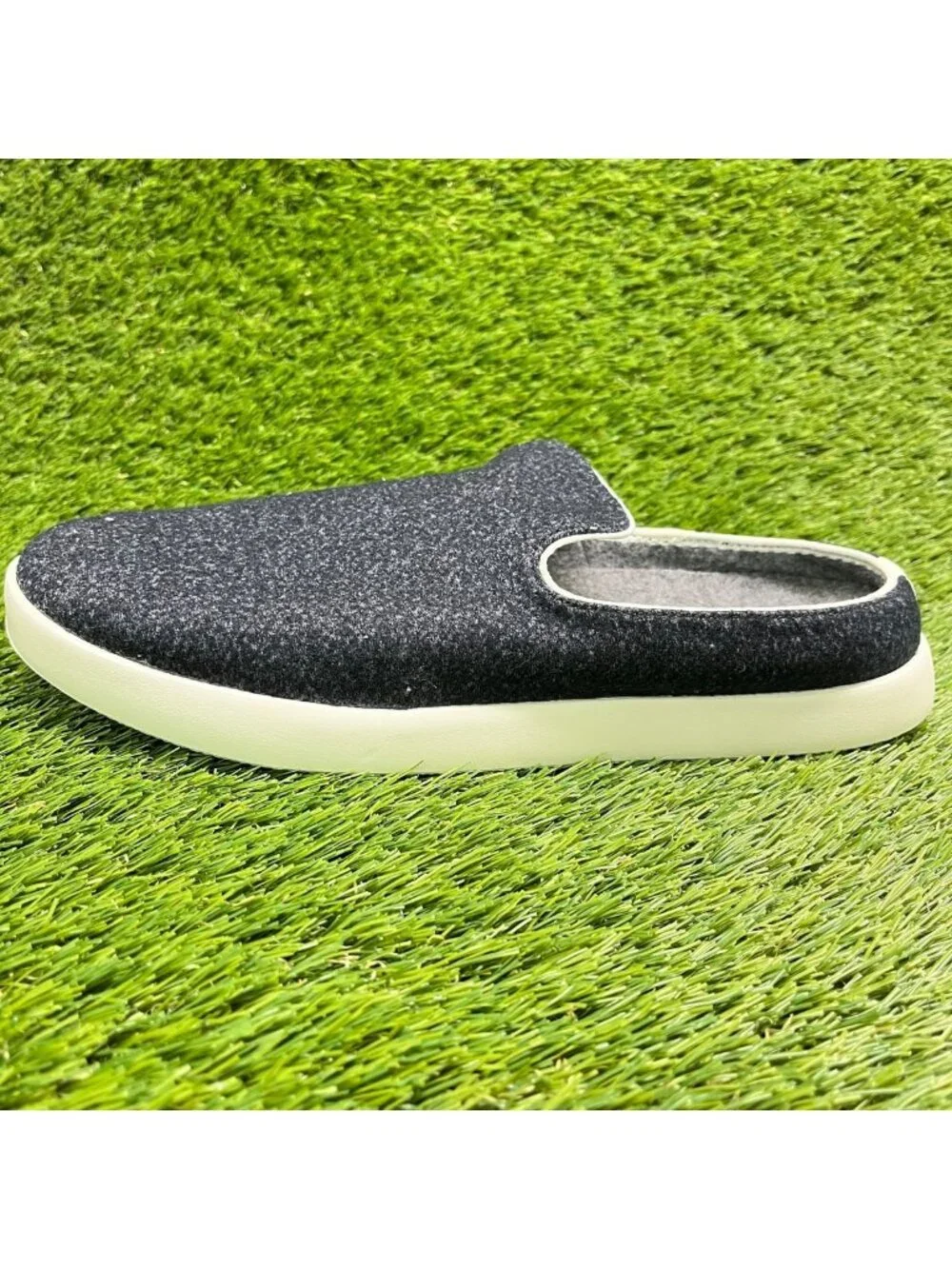 allbirds please review
